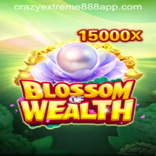 Exploring BlossomofWealth: A Journey Through the Extremeflash888 APP